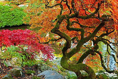 《心灵杀手2》发售后有免费内容和2个付费DLC